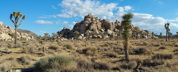 Joshua Tree National Park, California